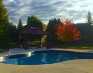 tague-pool-pic