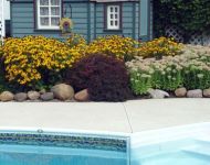 17-Pool---Steps